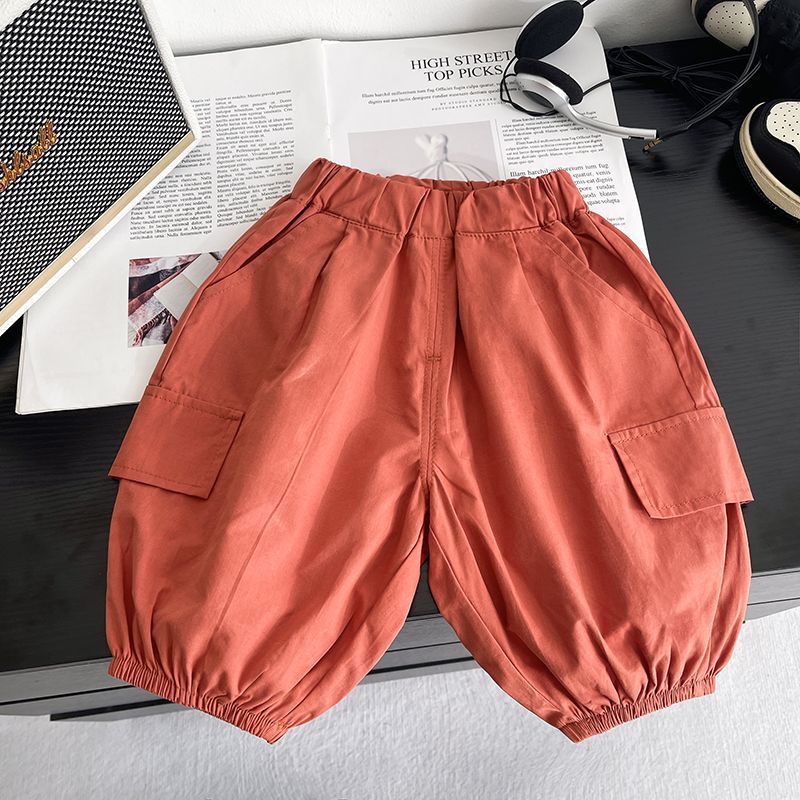 Boys Short Sleeve Shirt and Shorts Set