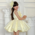 Girls Princess Party Dress with Floral Design
