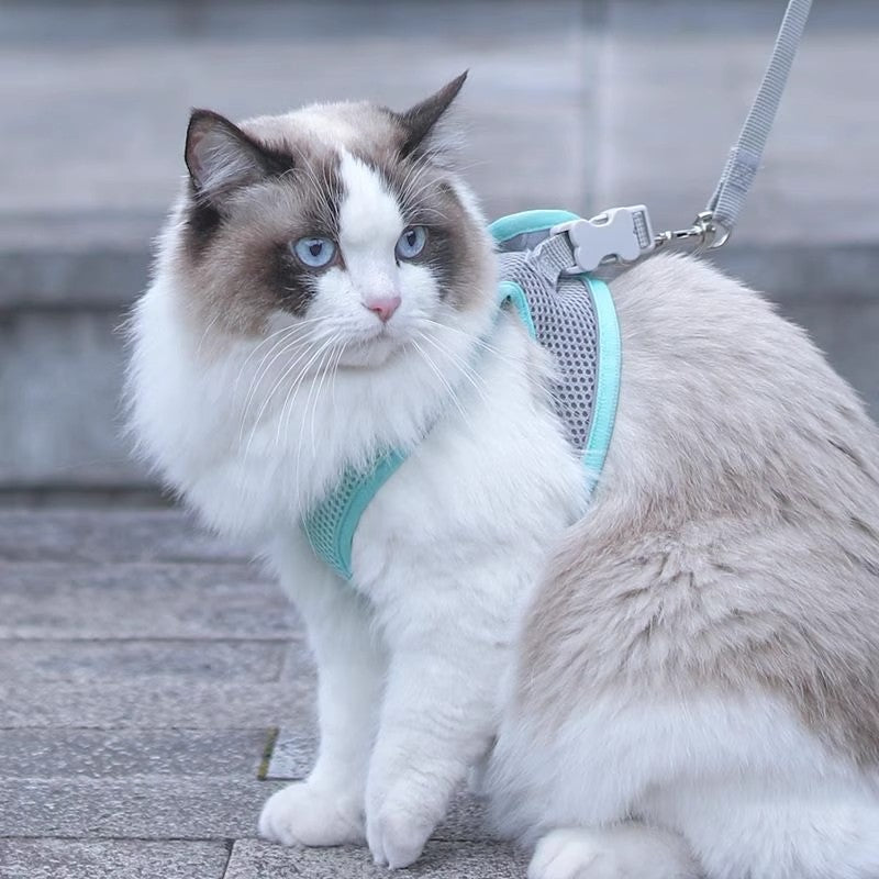 Adjustable Pet Vest Leash with Chest Strap